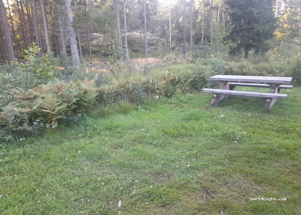 (615 92) Ekudden - Unnamed road — foto