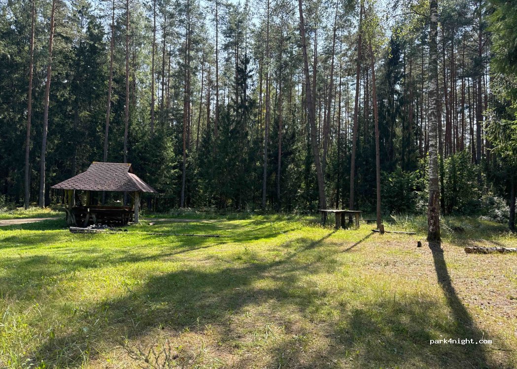 (38457) Stumbriškis - 191 — foto 2