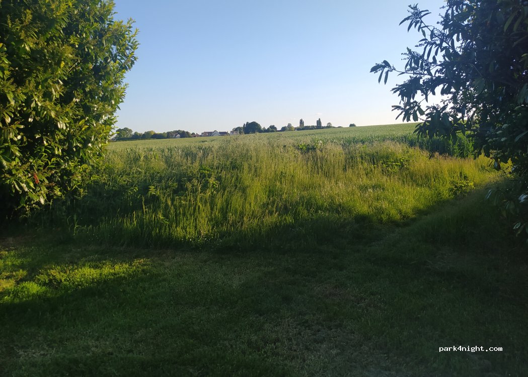 (78790) Mulcent - — foto 3