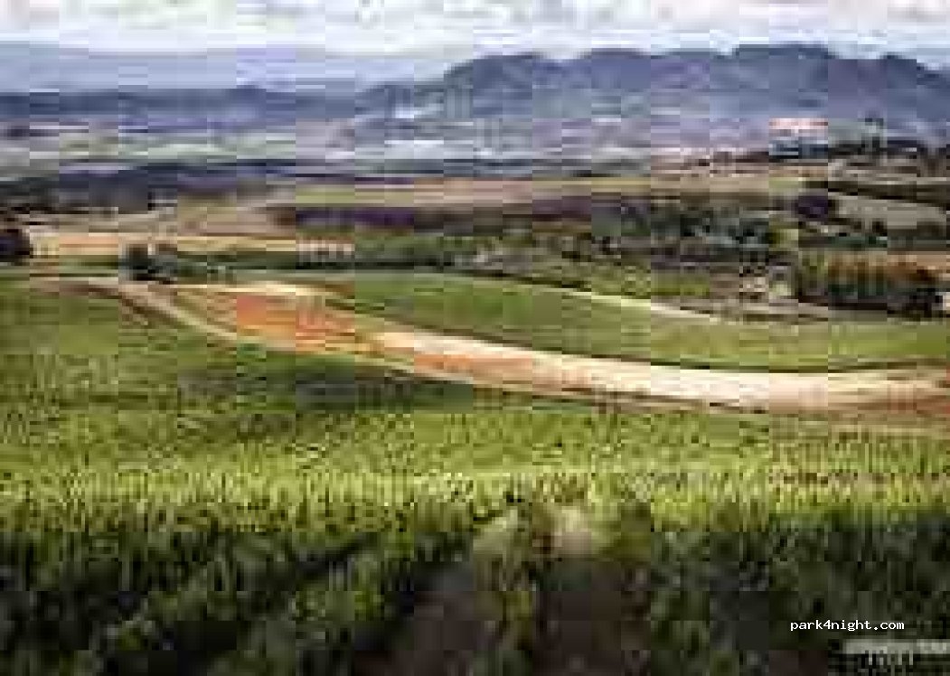 Cantina Su'entu — foto 2
