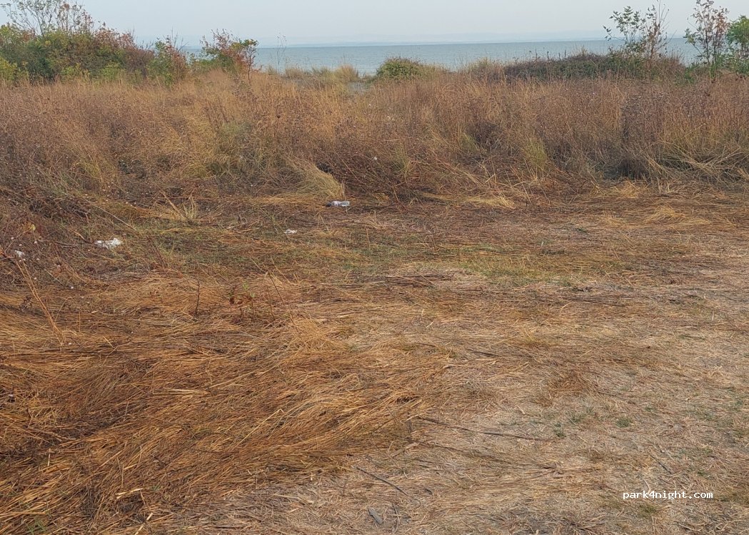 (8142) Chernomorets - — foto 2