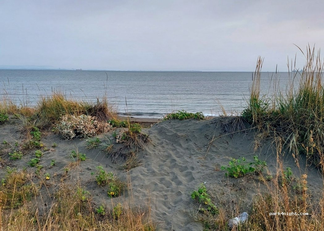 (8142) Chernomorets - — foto 3