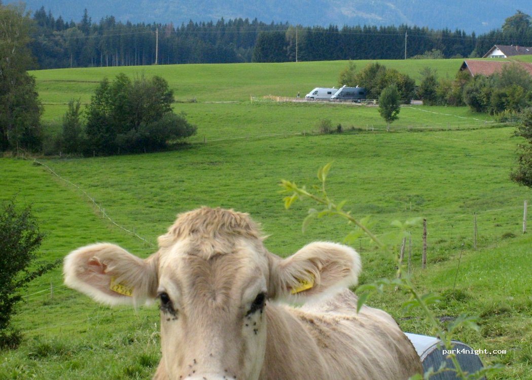 (87494) Rückholz - 9 Schönewald — foto 3