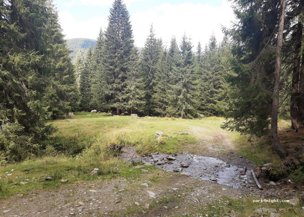 (247750) Obârşia Lotrului - — foto