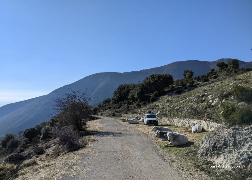 (04023) Formia - — foto 2