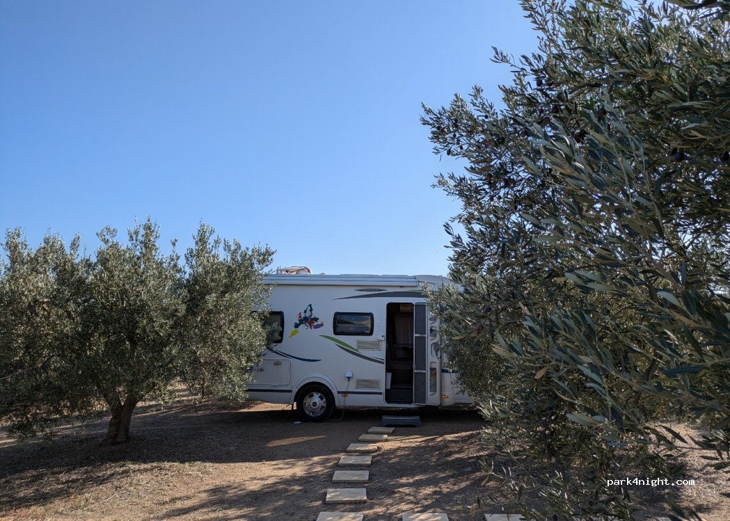 Farm Partali Camp — foto 4