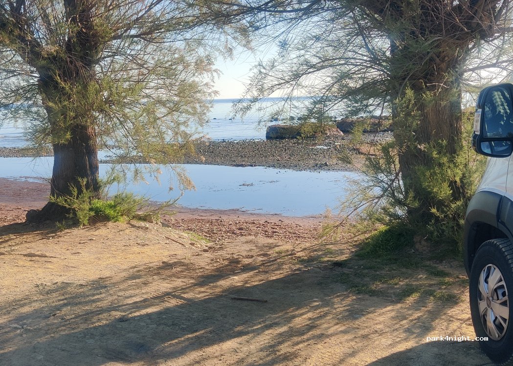 (20275) Ersa - 3 Foce — foto 5