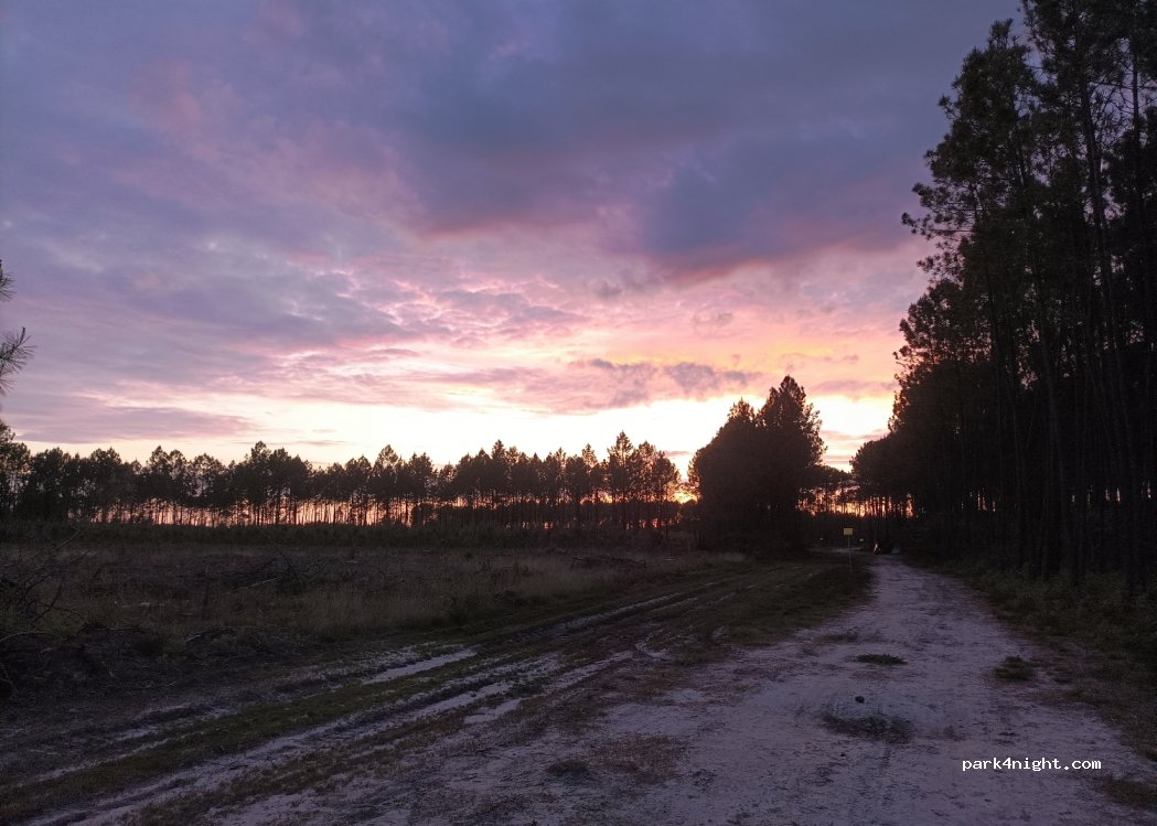 (40600) Biscarrosse - — foto 2