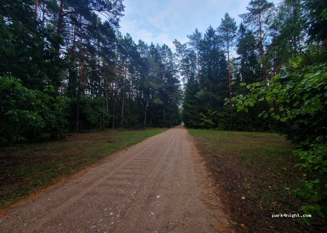 (19-206) Kuligi - — foto
