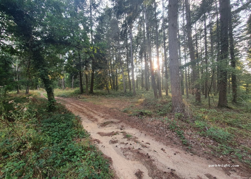 (43230) Salzuit - Unnamed road — foto