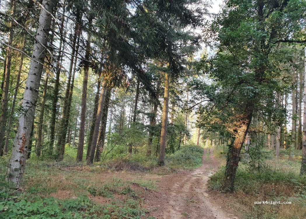 (43230) Salzuit - Unnamed road — foto 2