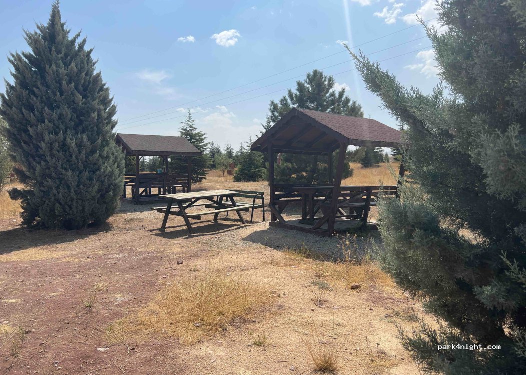 (26250) Odunpazarı - Afyon Eskişehir Yolu — foto 2