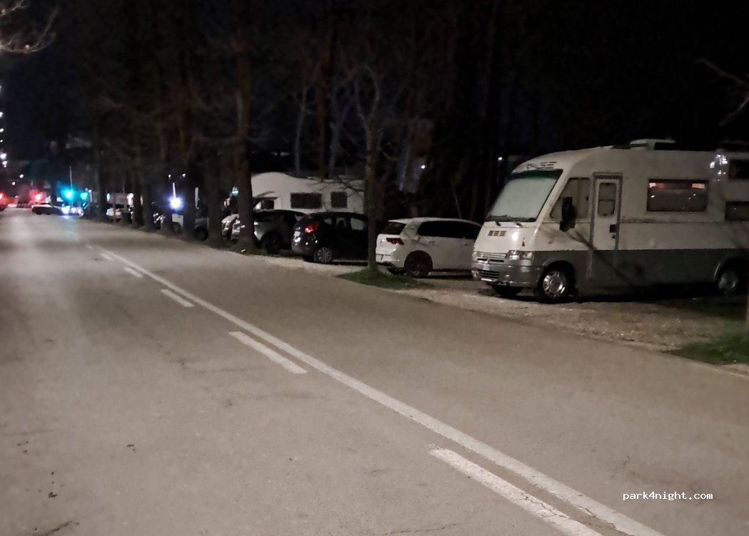(55049) Viareggio - 21 Viale dei Tigli — foto