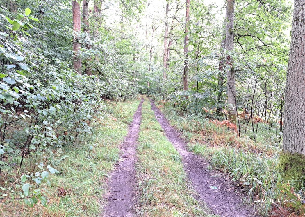 (73) Mogilica - Unnamed Road — foto 3