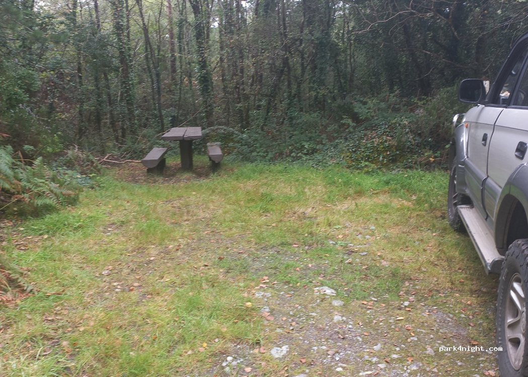 (P75 YX58) Glengarriff Woods Nature Reserve - Unnamed Road — foto 2