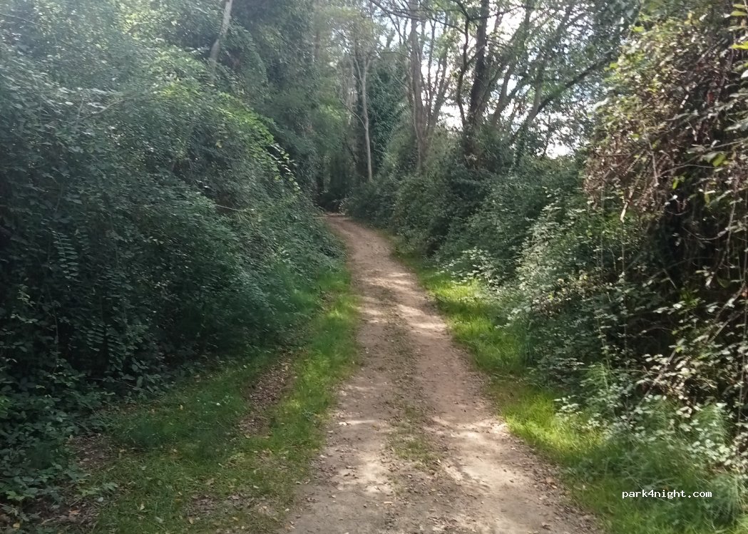 (40110) Morcenx-la-Nouvelle - 3 Garrou — foto