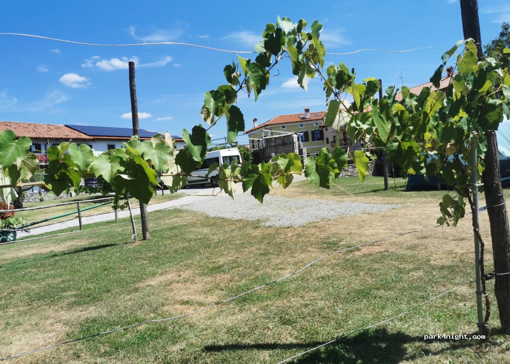 farm Brajda Štorje — foto 4