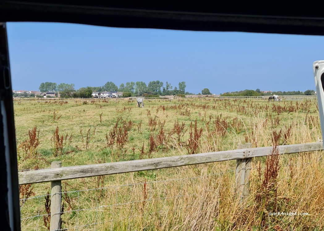 Dinarth Hall Caravan & Camping — foto 3