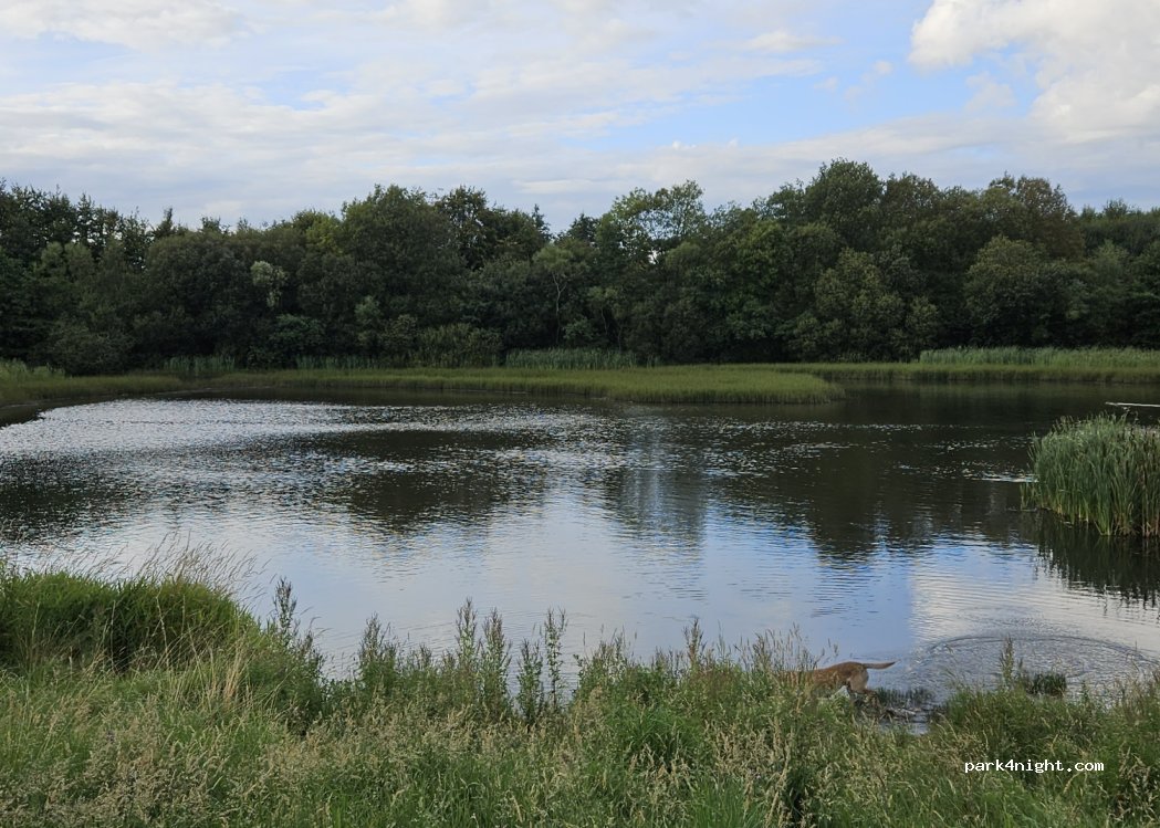 (G68 9AG) Cumbernauld - Unnamed Road — foto