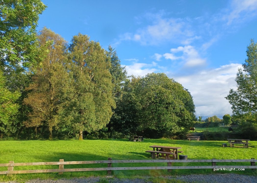 (R32 N7P1) Curragh - Unnamed Road — foto