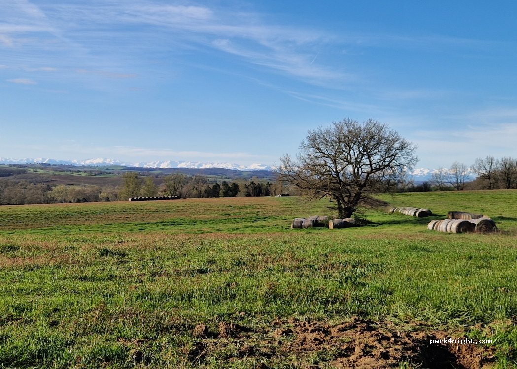 (32200) Juilles - Chem. de Saint-Caprais — foto 3