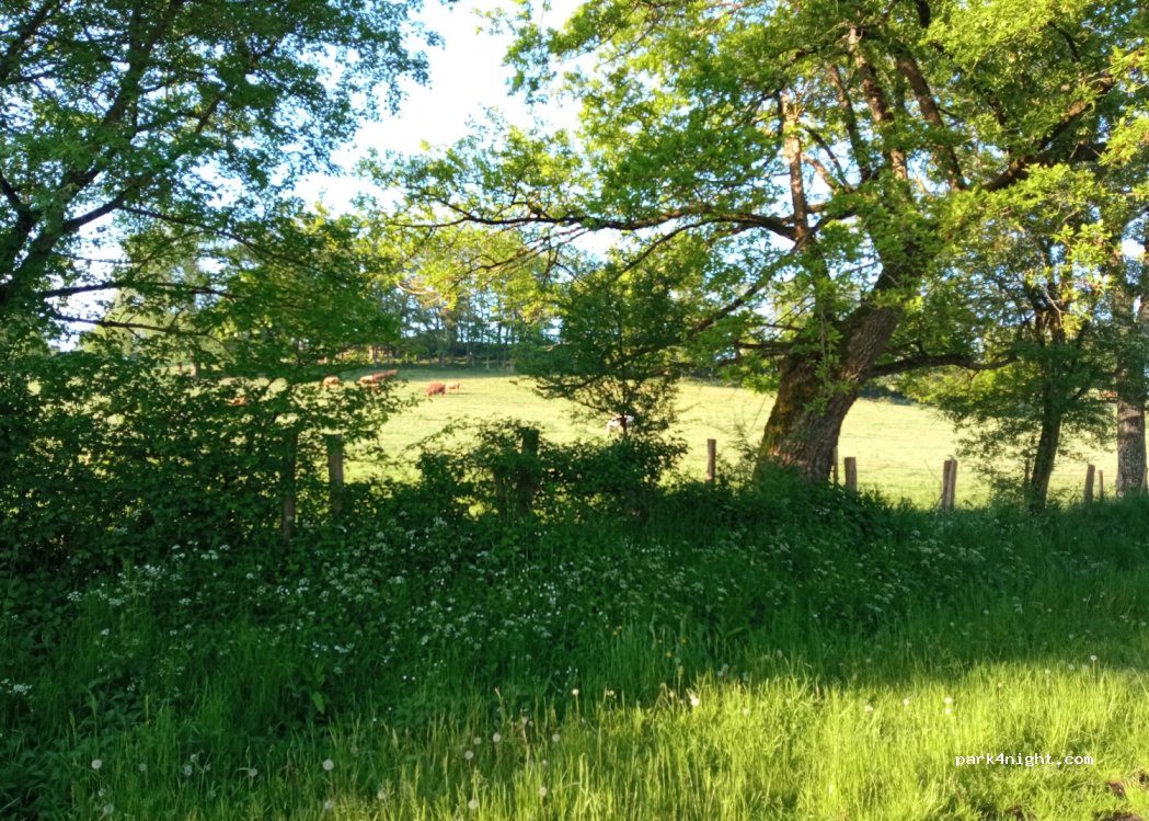 (61250) Saint-Céneri-le-Gérei - Pré du Moulin — foto 2