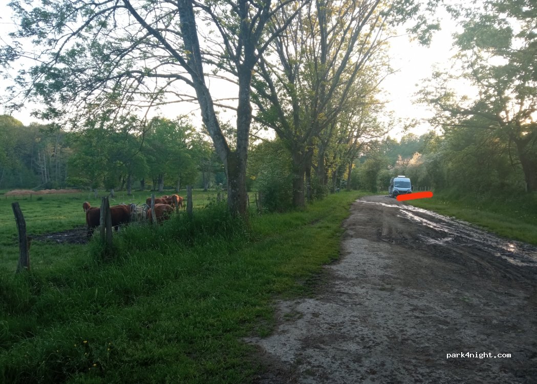(61250) Saint-Céneri-le-Gérei - Pré du Moulin — foto 4