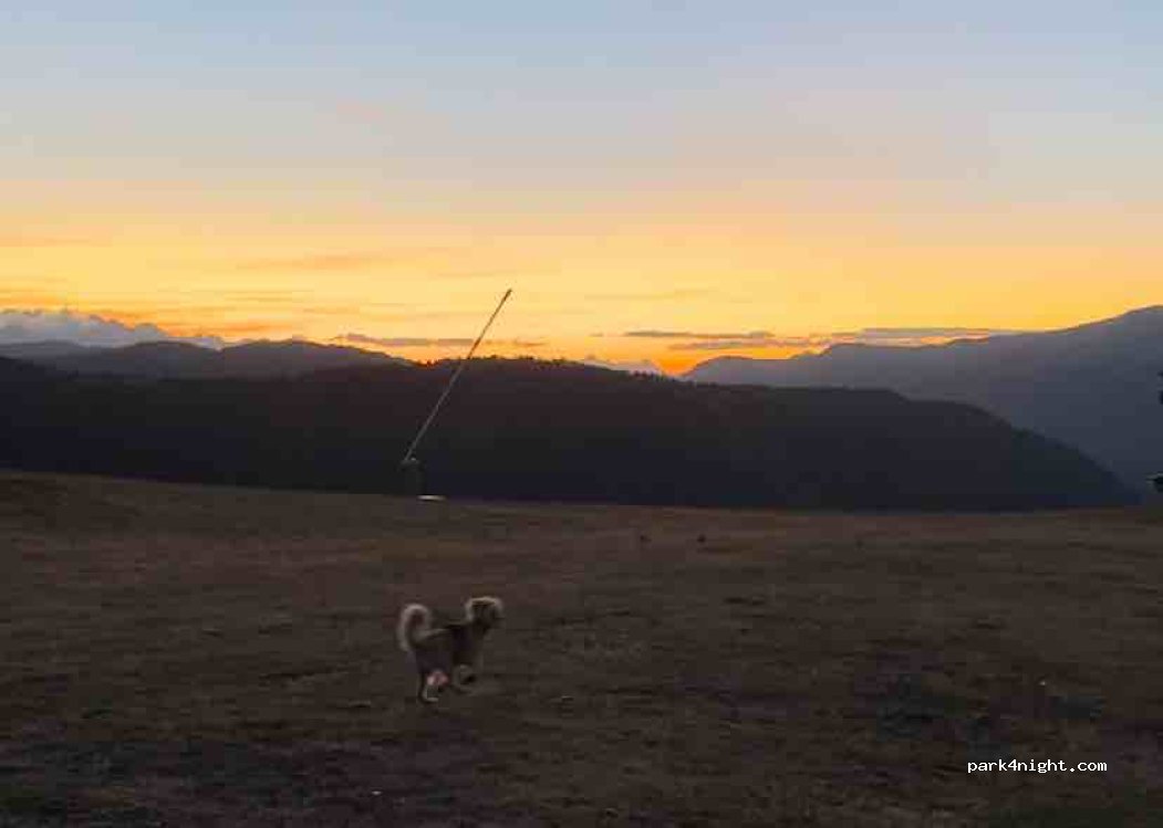 (25598) Baqueira - C-28 — foto