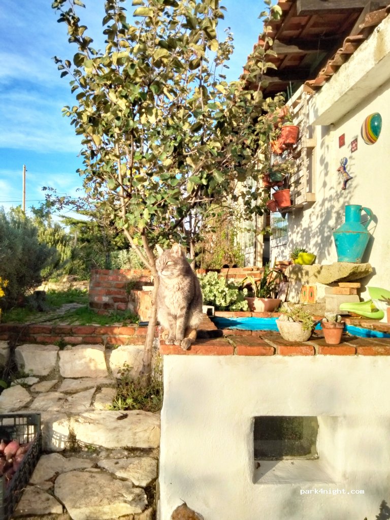 Quinta das Lameiras — foto 5