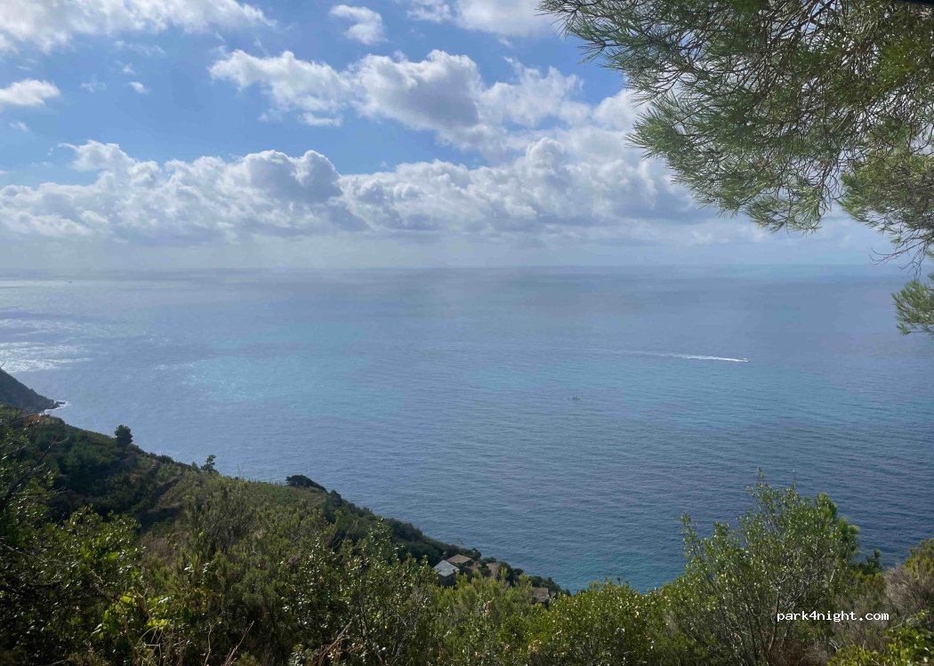 (19017) Riomaggiore - SP370 — foto 3