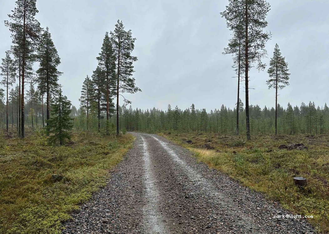 (95920) Saaripudas - Unnamed Road — foto