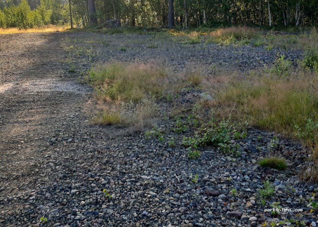 (95920) Saaripudas - Unnamed Road — foto 3