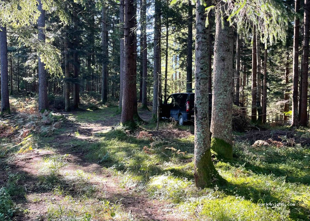 (3334) Luče - 22 Podveža — foto 2