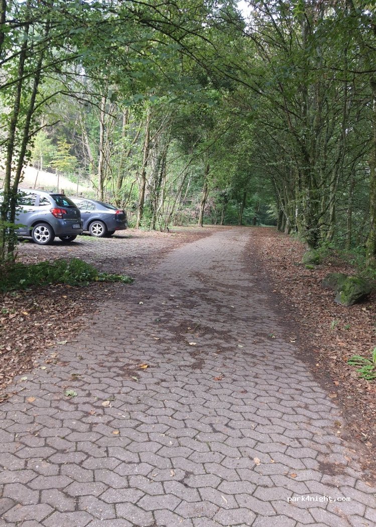 (66839) Schmelz - 17 Zum Engelgrundweiher — foto