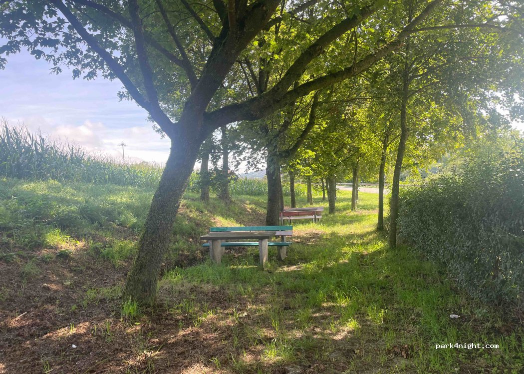 (90616) Neuhof an der Zenn - St2413 — foto 2