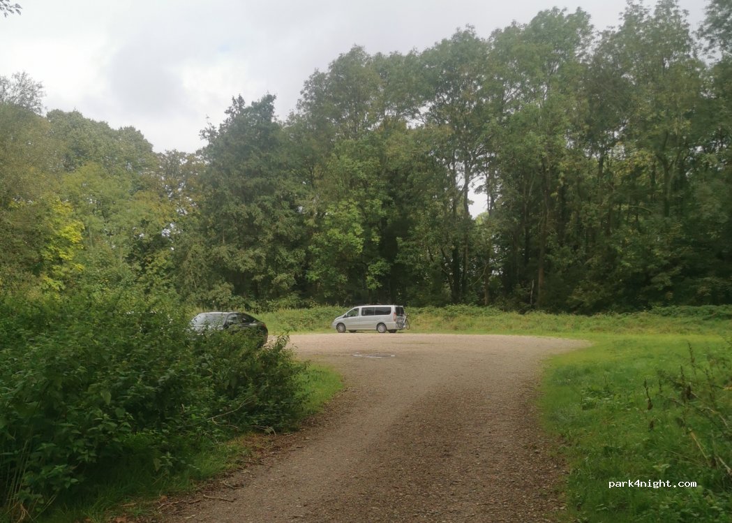 (2061 DC) Bloemendaal - 17 Posthumus Meyjeslaan — foto 3