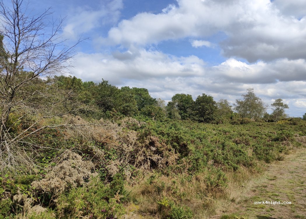 (44460) Avessac - Unnamed Road — foto