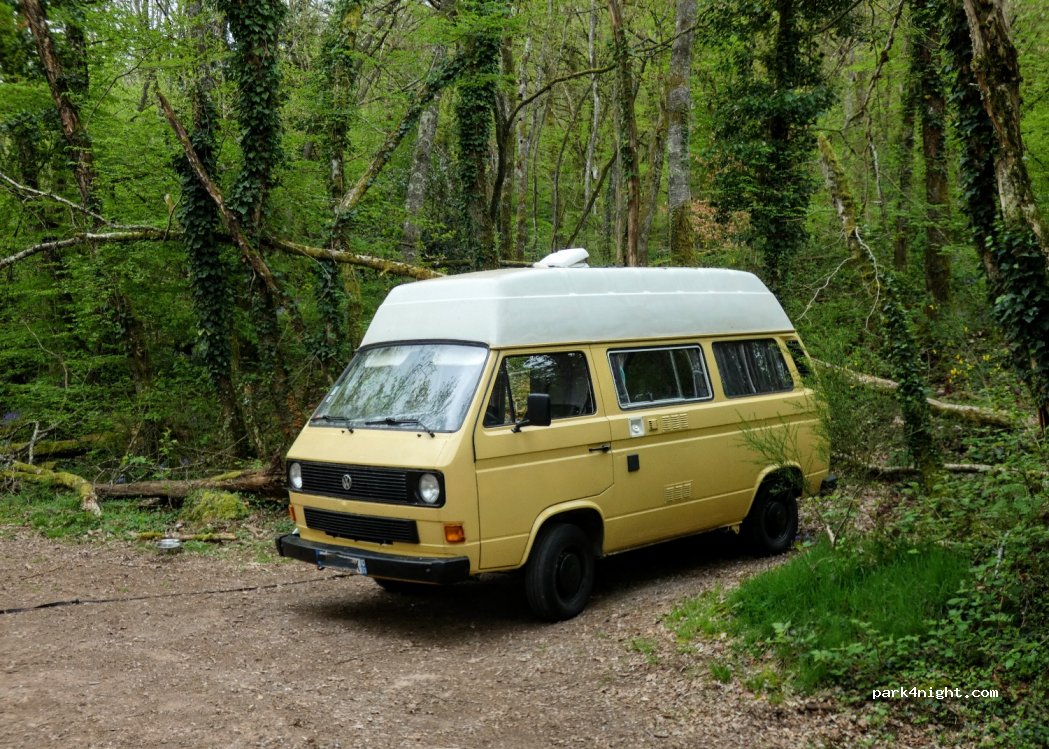 (58120) Chaumard - 323 La Forêt — foto 3
