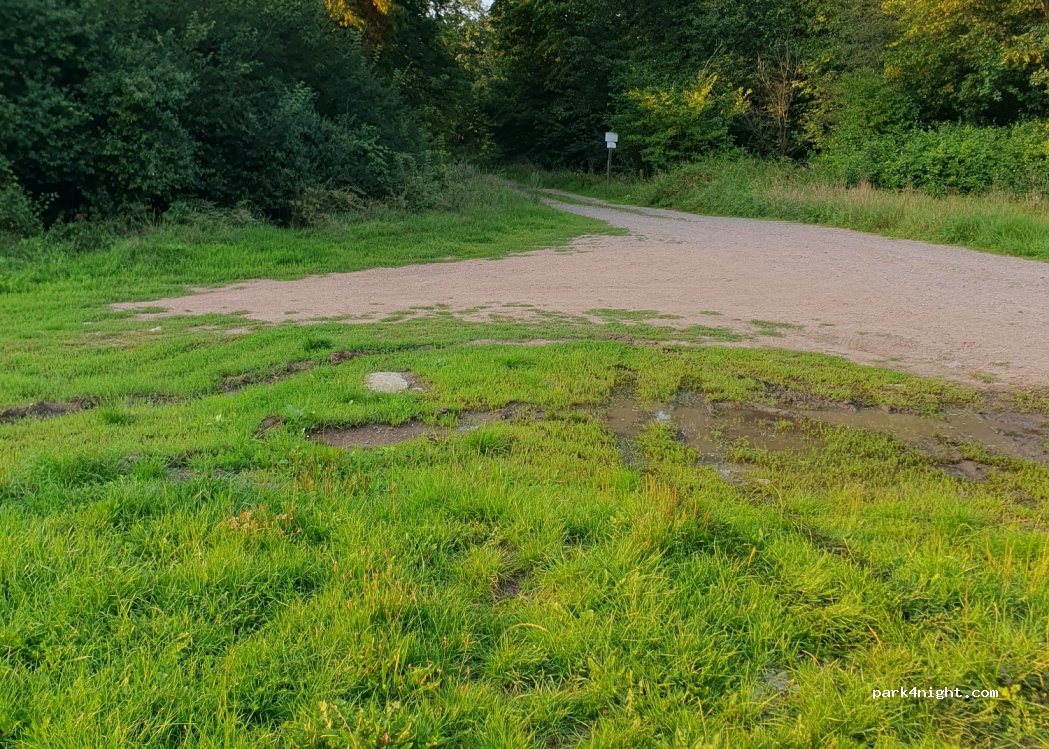 (06785) Oranienbaum-Wörlitz - Minkewitzlinie — foto 2