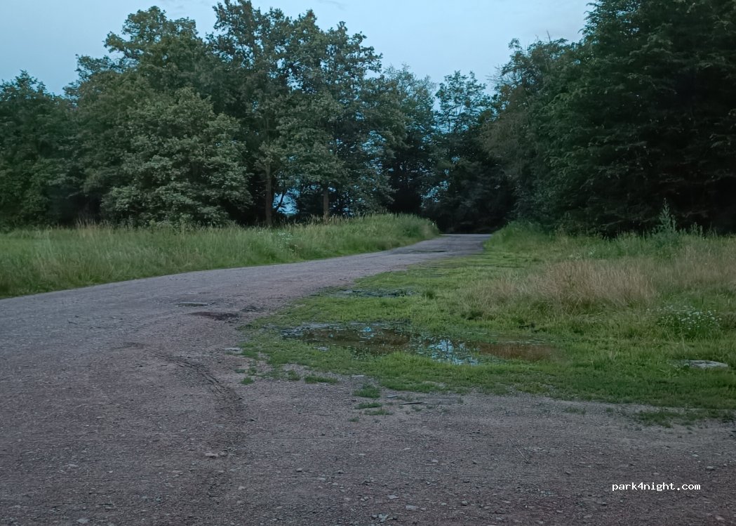 (06785) Oranienbaum-Wörlitz - Minkewitzlinie — foto 3