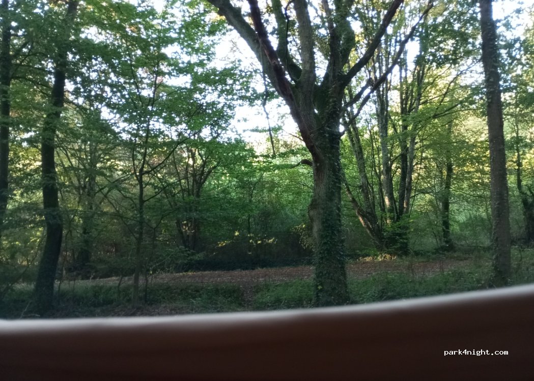 (53290) Saint-Brice - — foto