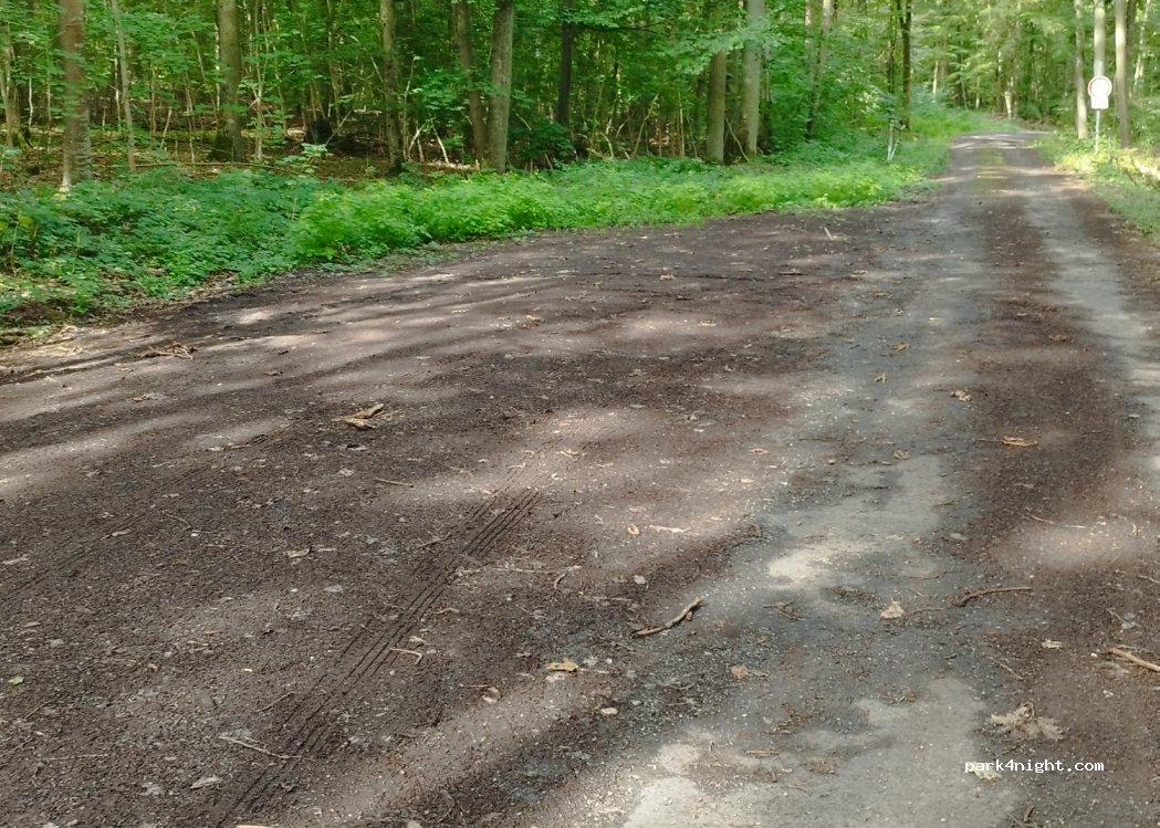 (97270) Kist - St578, Irtenberger Wald — foto