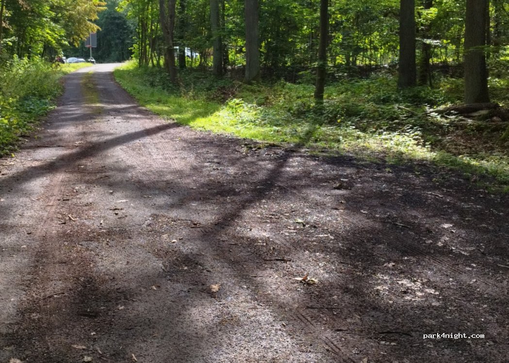 (97270) Kist - St578, Irtenberger Wald — foto 2
