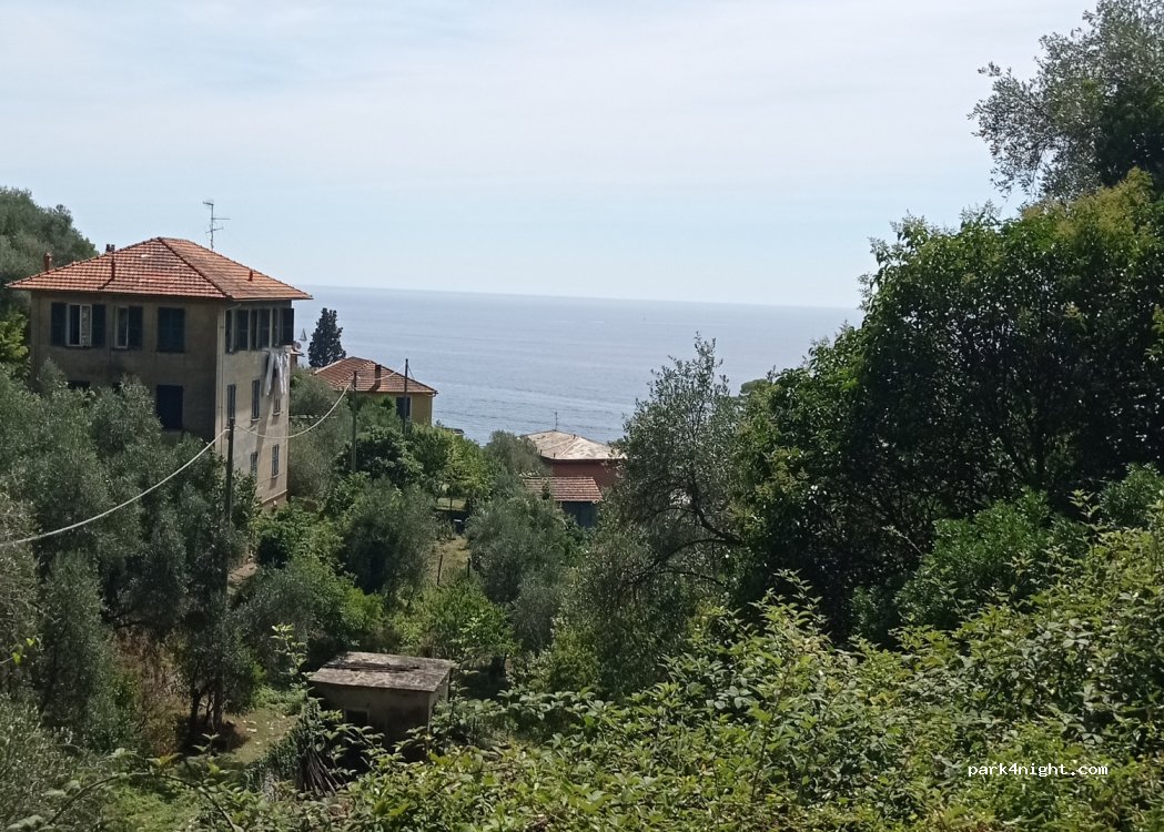 (16035) Zoagli - 2 Via Castellaro — foto