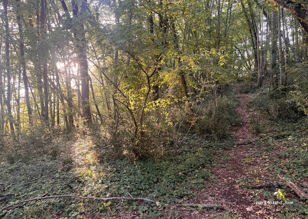 (24250) Domme - Unnamed Road — foto