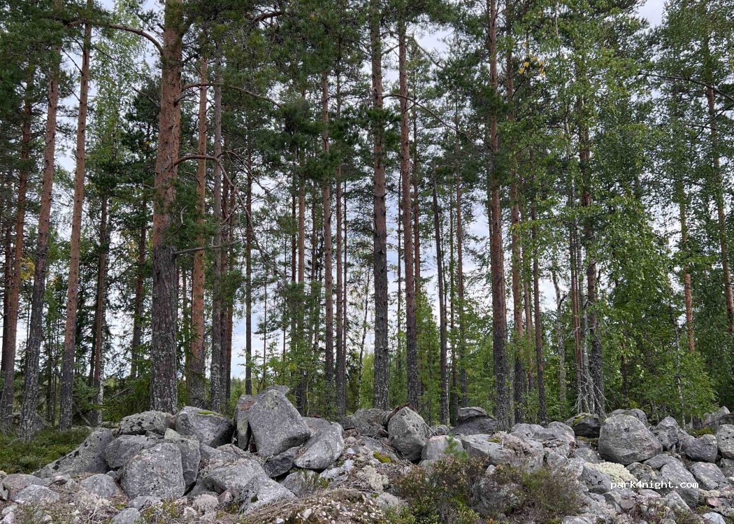 (817 40)  - Romsenvägen — foto