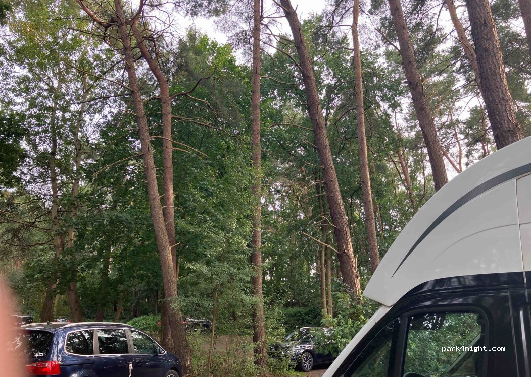 (25488) Holm - Katastrophenweg — foto
