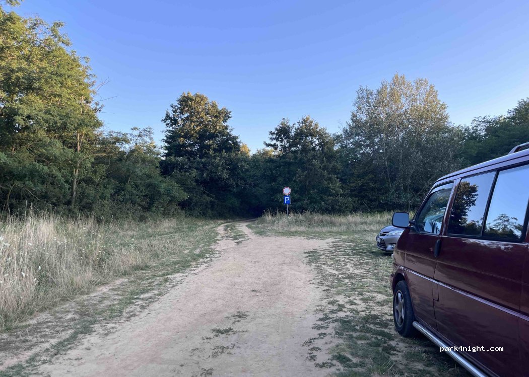 (8256) Salföld - — foto 5