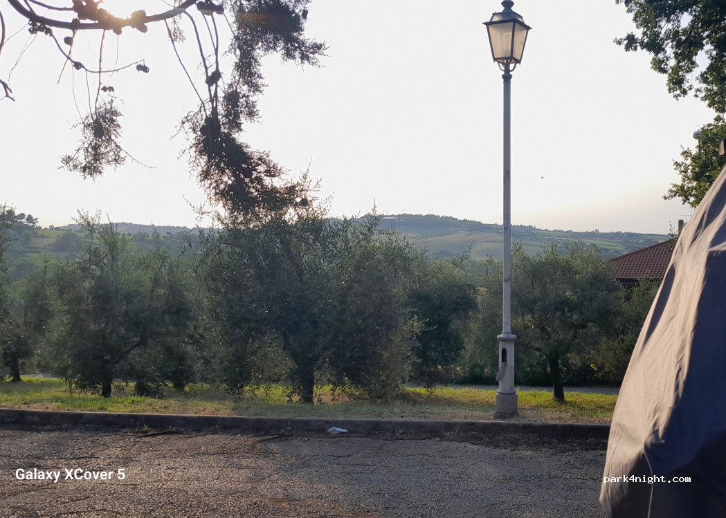 (47853) Pian delle Pieve - 6 SP50 — foto 4