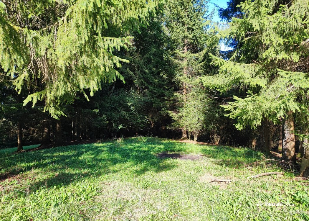 (73670) Saint-Pierre-d'Entremont - Unnamed Road — foto